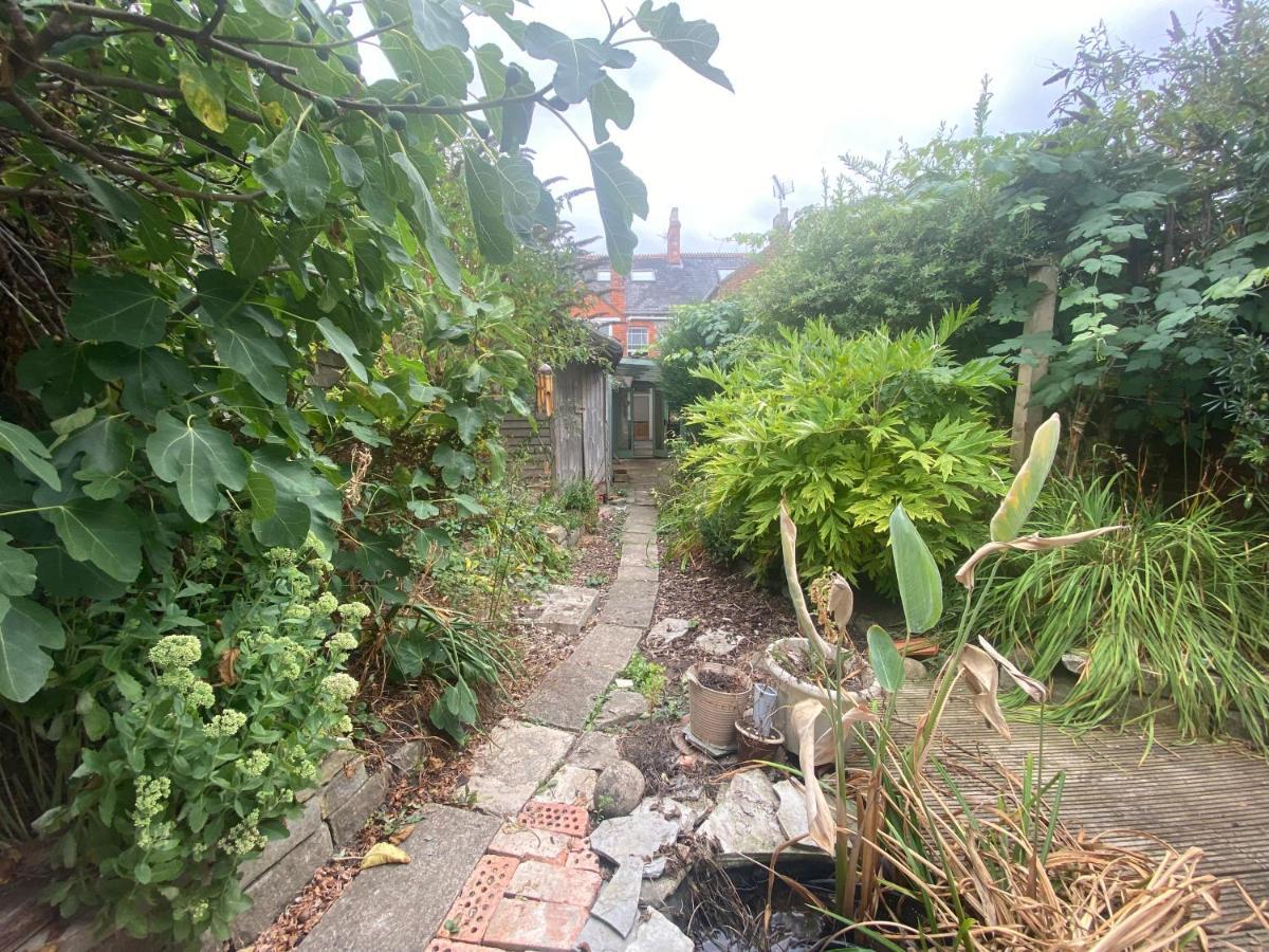 The Dragonfly Bnb, Glastonbury Exteriör bild